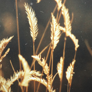 升级图文小鹤导航
