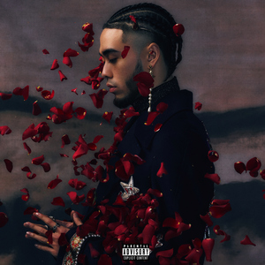 升级图文小鹤导航
