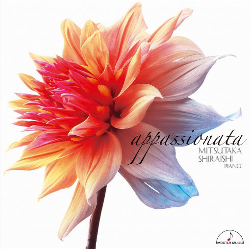 升级图文小鹤导航
